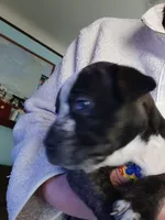 processed/db7fe2c3-f664-4b7c-9a37-e82ab3f794c6/listing/b736fc8b-4669-4aba-af33-c29f3a3dbf8d/325eabdd-3aa9-4033-9d95-553ce8b94338