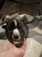 processed/db85f013-db86-436f-91c9-64233f4abc61/listing/e9d473a7-c3f9-4c95-a9fc-a2ef718a1b71/794351d1-f65d-41fa-bd4c-b2a63bea0e4b