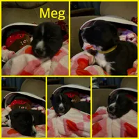 processed/db85f013-db86-436f-91c9-64233f4abc61/listing/e9d473a7-c3f9-4c95-a9fc-a2ef718a1b71/8c81b1e0-9fb6-4e59-abcf-76c68c4ee7d1