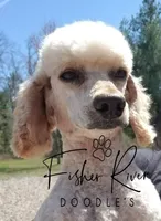 processed/db879989-ccb2-403f-aeb1-751c041c50b1/facility/b0a9870c-b433-4e34-90b8-365a590caa0d