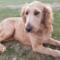 processed/db879989-ccb2-403f-aeb1-751c041c50b1/facility/df8440a0-5825-4988-ab2a-978ac3a83bca