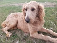 processed/db879989-ccb2-403f-aeb1-751c041c50b1/facility/df8440a0-5825-4988-ab2a-978ac3a83bca