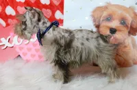 processed/db92fcb3-c255-413d-a52c-6cde5f9730d4/listing/c1229158-e665-41cd-975b-292f78277ad9/356a1c68-ef17-4969-ad9c-83181022bf22