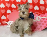 processed/db92fcb3-c255-413d-a52c-6cde5f9730d4/listing/c1229158-e665-41cd-975b-292f78277ad9/5116fe7b-e6f8-4320-bbf8-f3c3765d1ecc