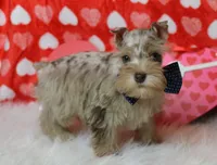 processed/db92fcb3-c255-413d-a52c-6cde5f9730d4/listing/c1229158-e665-41cd-975b-292f78277ad9/5b4bb0c7-aa87-4498-88cb-cfff8574b9c5