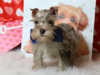 processed/db92fcb3-c255-413d-a52c-6cde5f9730d4/listing/c1229158-e665-41cd-975b-292f78277ad9/67d497a6-d5fa-407c-9792-5357cba29ff1