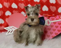 processed/db92fcb3-c255-413d-a52c-6cde5f9730d4/listing/c1229158-e665-41cd-975b-292f78277ad9/e962f4ef-6651-40ab-aedd-8104621a9fe5