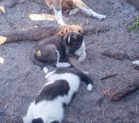 processed/db97af3e-2fc2-4f9b-9281-066241f93285/listing/6f79a713-8150-4bac-917e-1688ac74429d/9278ebc6-23a9-4003-a7b6-8926bd69001c