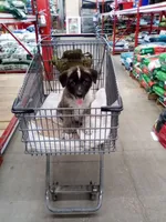 processed/db97af3e-2fc2-4f9b-9281-066241f93285/listing/6f79a713-8150-4bac-917e-1688ac74429d/ac3ad0f4-40b8-4ddd-8b5d-97468e732553