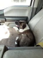 processed/db97af3e-2fc2-4f9b-9281-066241f93285/listing/6f79a713-8150-4bac-917e-1688ac74429d/ddfb2b1f-3acb-4c25-8dcd-c179bb298cd5