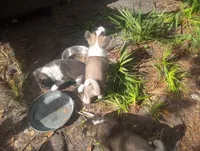 processed/db97af3e-2fc2-4f9b-9281-066241f93285/listing/7dc34aa3-9024-4ea8-b084-117acec0365d/8c155180-9777-4a1d-90e2-7aa1a29a5061