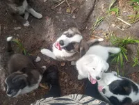 processed/db97af3e-2fc2-4f9b-9281-066241f93285/listing/7dc34aa3-9024-4ea8-b084-117acec0365d/a8d6ab9e-ce6f-4f00-98de-10544e064272