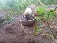 processed/db97af3e-2fc2-4f9b-9281-066241f93285/listing/7dc34aa3-9024-4ea8-b084-117acec0365d/b532525b-71e6-4197-bc39-320f3ff9f02d