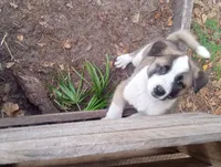 processed/db97af3e-2fc2-4f9b-9281-066241f93285/listing/7dc34aa3-9024-4ea8-b084-117acec0365d/cdf3ceca-4eaa-43bb-b7d5-f173c31bb88e