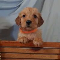 processed/dbadbdc4-d845-42e2-95e7-760897415008/listing/4ebf49bb-9f35-4d7f-8aef-f94bd6eedbd9/2d1c9f96-0df5-4ca9-a91c-391efecc76b8