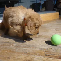 processed/dbadbdc4-d845-42e2-95e7-760897415008/listing/4ebf49bb-9f35-4d7f-8aef-f94bd6eedbd9/450ff218-310e-45f4-b9be-bed56f378baf