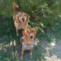 processed/dbadbdc4-d845-42e2-95e7-760897415008/listing/4ebf49bb-9f35-4d7f-8aef-f94bd6eedbd9/b693ba10-a58e-4a94-9236-a49d376b10d2