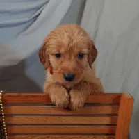 processed/dbadbdc4-d845-42e2-95e7-760897415008/listing/4ebf49bb-9f35-4d7f-8aef-f94bd6eedbd9/e7dae45c-5cf2-4842-ae79-1408d34ae920