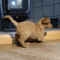 processed/dbadbdc4-d845-42e2-95e7-760897415008/listing/7e1ee5ef-fa2e-45b3-90a5-0f08bb0dda3e/2912054f-547d-4e4f-8f2f-b20eea57b13f