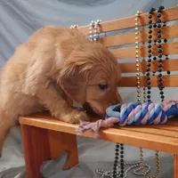 processed/dbadbdc4-d845-42e2-95e7-760897415008/listing/7e1ee5ef-fa2e-45b3-90a5-0f08bb0dda3e/9065910a-3f4f-4188-b2c9-33d83a815dea