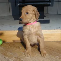 processed/dbadbdc4-d845-42e2-95e7-760897415008/listing/7e1ee5ef-fa2e-45b3-90a5-0f08bb0dda3e/f05eb6be-2b13-472c-8dec-71168a1ed91f