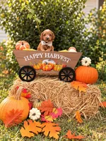 Adam, a male Goldendoodle and Poodle - Toy  for sale in Clarksville, TN – 1 of 1
