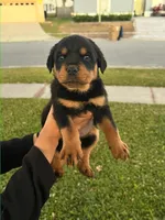 processed/dbbaa2bc-97f2-4fa4-98e4-6c358d14bbad/listing/e272dc71-02c3-4c8f-84ed-698d84b21706/5b20076c-4da7-4b6b-a04e-7c30763486bd