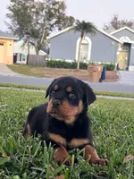 processed/dbbaa2bc-97f2-4fa4-98e4-6c358d14bbad/listing/e272dc71-02c3-4c8f-84ed-698d84b21706/7a4d9cc6-2ee5-4ba2-b78b-f521f4a5644c