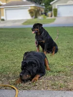 processed/dbbaa2bc-97f2-4fa4-98e4-6c358d14bbad/listing/e272dc71-02c3-4c8f-84ed-698d84b21706/bb286746-e40d-4aa6-81ec-ac6608f3970f