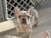 processed/dbd3bfc5-ead2-4c75-bd1d-e49296c1fb45/listing/33ed76de-1905-43eb-897e-86988159a238/b4a4217f-3351-4fae-b060-52682abf4125