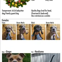 processed/dbd3ccc0-0ec1-46cd-ae3e-b044503d922f/facility/f3ad183c-01dc-418a-b7ef-de5d1a7cd6cb