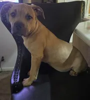 processed/dbd3ccc0-0ec1-46cd-ae3e-b044503d922f/listing/100837cd-30e4-4f84-a32a-7cbb142bf08f/cdda71cf-ec63-41ea-a05c-ac55540e14ed