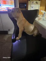 processed/dbd3ccc0-0ec1-46cd-ae3e-b044503d922f/listing/100837cd-30e4-4f84-a32a-7cbb142bf08f/db9c9520-909d-44db-9c85-f516e61ed513