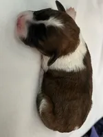 processed/dbd3ccc0-0ec1-46cd-ae3e-b044503d922f/listing/26ed4900-ba9f-44ea-8b1e-37b4437e7c0b/1370e9c7-ac80-4363-ac95-128914dc770f