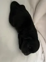 processed/dbd3ccc0-0ec1-46cd-ae3e-b044503d922f/listing/a215a920-c68c-4ee6-ac61-025187f3ff94/fb4cd34c-7726-4e43-a747-a2896da58755