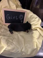 processed/dbdacb8c-4be6-4484-88e1-7df735cb0948/listing/294feac6-869c-4e80-aeea-24178b3e49fe/7c7b8127-581d-490a-9e79-43b83eb8dce3