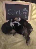 processed/dbdacb8c-4be6-4484-88e1-7df735cb0948/listing/294feac6-869c-4e80-aeea-24178b3e49fe/f9d0d6b8-4f20-46ac-8b9f-2ca373c1fe5d