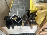 Facility photo