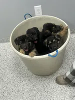 Facility photo