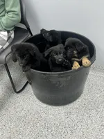 Facility photo