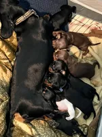 processed/dbdf7598-c407-4a41-9e70-4e6be4aab22e/facility/020db2d2-9ad7-4c2f-9896-d82a59386ae9