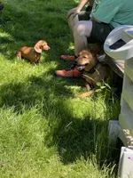 processed/dbdf7598-c407-4a41-9e70-4e6be4aab22e/facility/10e4481f-d1a5-47aa-aaf4-a98d9aabe1fe