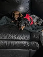 processed/dbdf7598-c407-4a41-9e70-4e6be4aab22e/facility/3b4b1de7-87a8-4263-b758-ef86de1bf57e