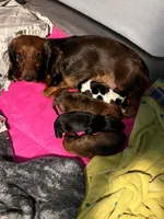 processed/dbdf7598-c407-4a41-9e70-4e6be4aab22e/facility/6ad4a949-3348-4406-94c4-bfd8c4172a42