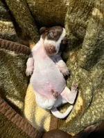 processed/dbdf7598-c407-4a41-9e70-4e6be4aab22e/facility/72cd7293-d01e-4009-82ef-f0fead8d57fe