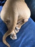 processed/dbdf7598-c407-4a41-9e70-4e6be4aab22e/facility/875457eb-2018-4663-80a6-565d7bb49402