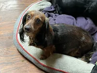 processed/dbdf7598-c407-4a41-9e70-4e6be4aab22e/facility/b382e445-28ab-4fa3-8479-d102b1ddf777