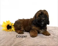 processed/dbec42db-aab6-4a78-8ae2-2f05b77270e2/listing/5be50ef0-ef8b-4ede-bb6e-6fc49aa5aac1/a75c3cde-569b-4697-a40a-51abc6af3224