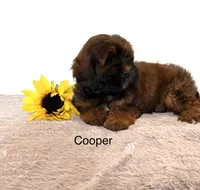 processed/dbec42db-aab6-4a78-8ae2-2f05b77270e2/listing/5be50ef0-ef8b-4ede-bb6e-6fc49aa5aac1/cf44eb95-5d05-4b04-98e6-cb088218f259