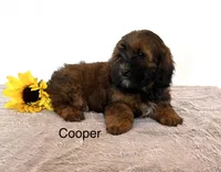 processed/dbec42db-aab6-4a78-8ae2-2f05b77270e2/listing/5be50ef0-ef8b-4ede-bb6e-6fc49aa5aac1/d490dd44-25af-4608-abfc-06d0645aebb0